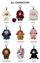 Load image into Gallery viewer, SKULLPANDA You Found Me! Series Plush Doll Pendant (1 Box)