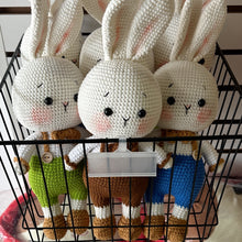 Load image into Gallery viewer, Pantsy the Rabbit - 30cm Handmade Crochet