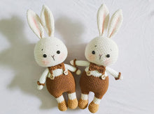 Load image into Gallery viewer, Pantsy the Rabbit - 30cm Handmade Crochet