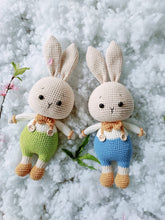 Load image into Gallery viewer, Pantsy the Rabbit - 30cm Handmade Crochet
