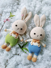 Load image into Gallery viewer, Pantsy the Rabbit - 30cm Handmade Crochet