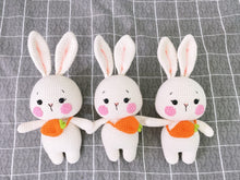 Load image into Gallery viewer, Bunny Hoppington - 25cm Handmade Crochet