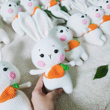 Load image into Gallery viewer, Bunny Hoppington - 25cm Handmade Crochet