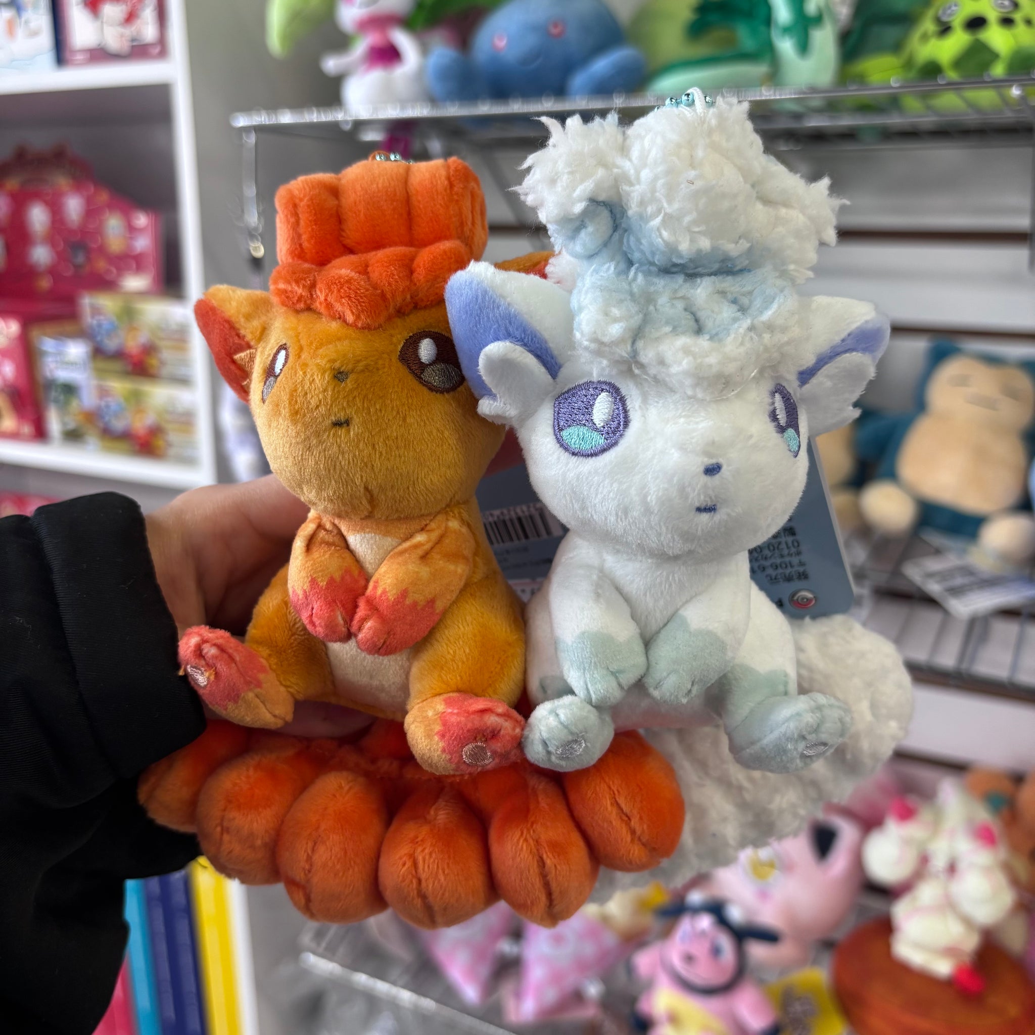 Pokémon Plushies – R.E.V. Collectibles