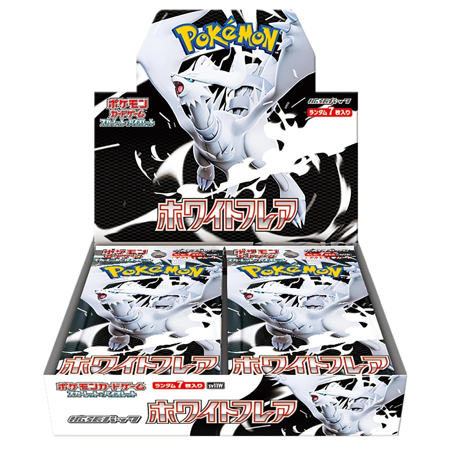 Pokémon Japan – R.E.V. Collectibles