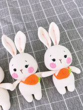 Load image into Gallery viewer, Bunny Hoppington - 25cm Handmade Crochet
